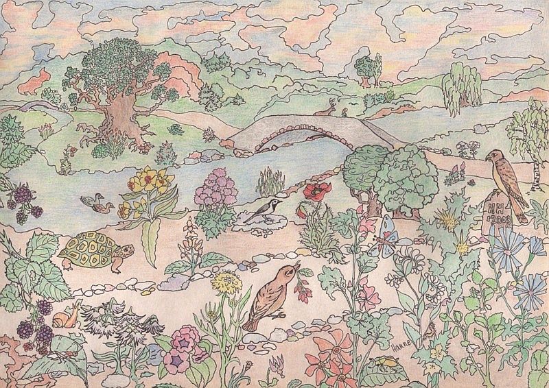 "Flußlandschaft" - Eine Zeichnung von Hanne H.