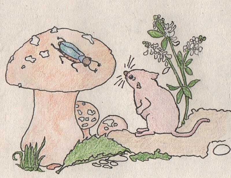 "Die gesprächige Maus" - Eine Zeichnung von Hanne H.